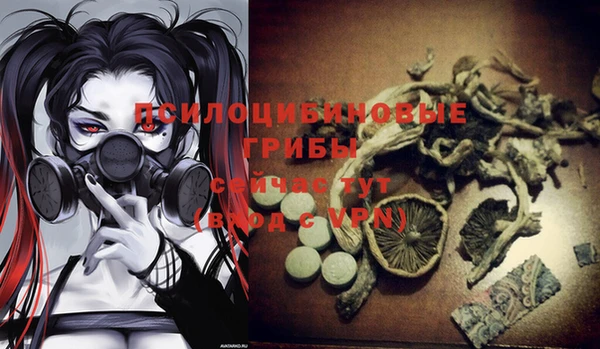 спайс Баксан