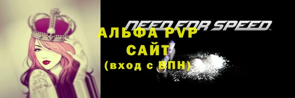 спайс Баксан